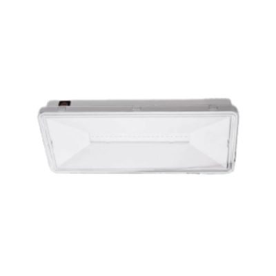 LED panik svjetiljka nadgradna 4W 6500K